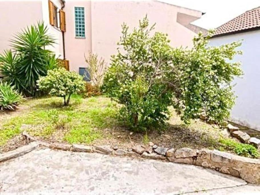 Villetta La Conchiglia La Maddalena  Exteriör bild