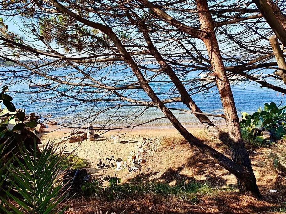 Villetta La Conchiglia La Maddalena  Exteriör bild
